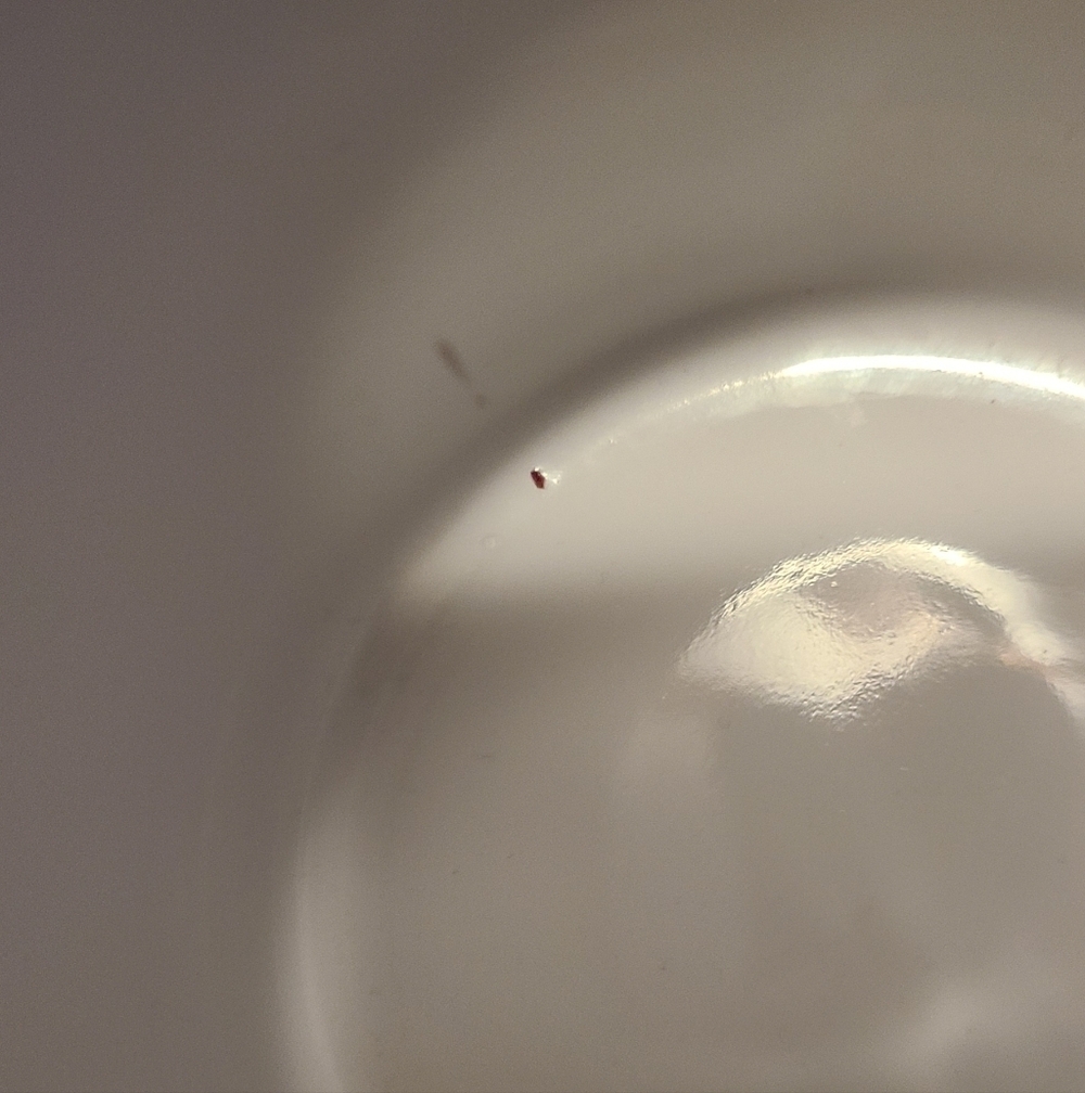 Butterfly/Moth Wildflower Mug New Without Tags - Picture 5 of 8